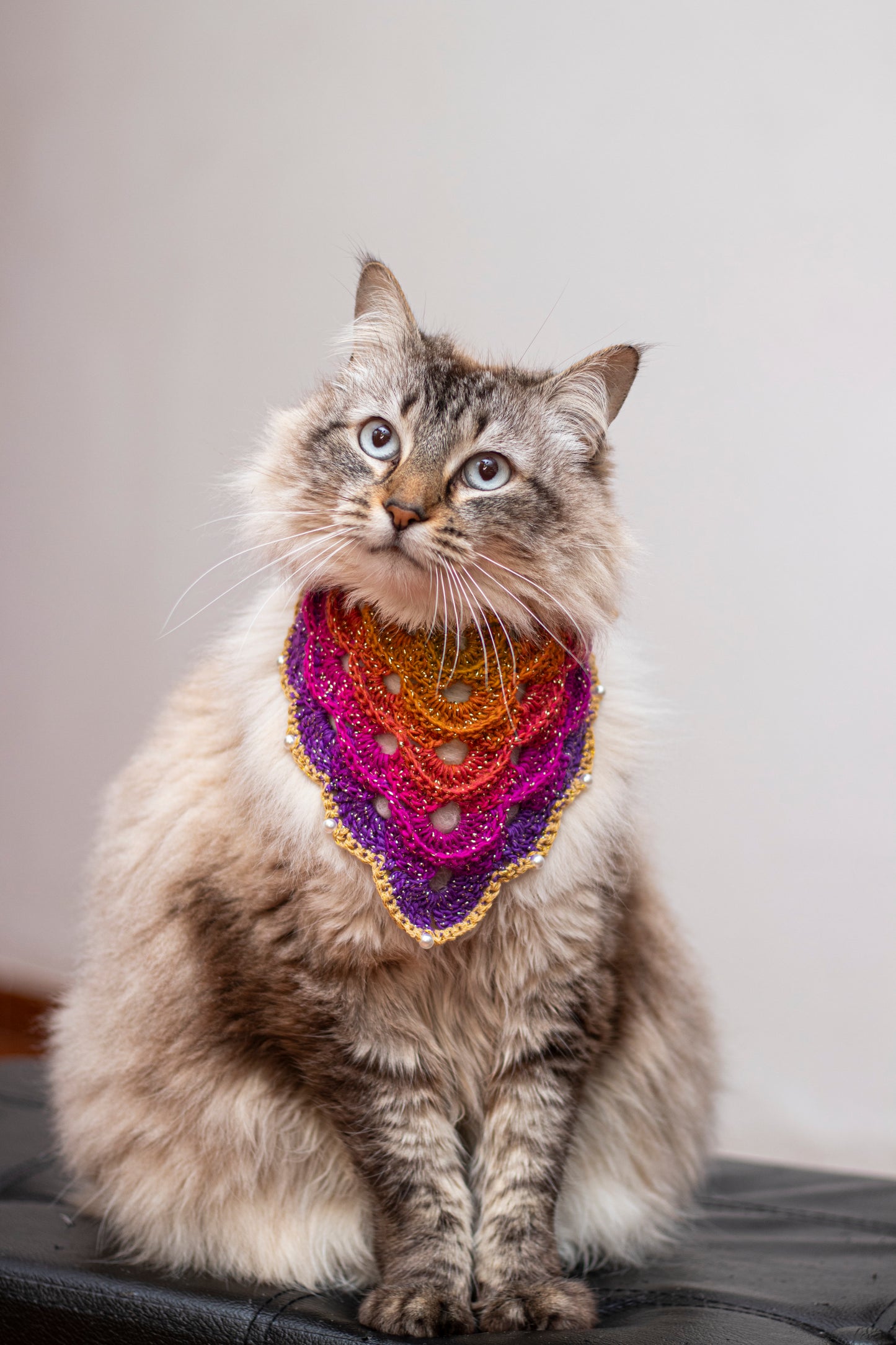 🌈Mystery Multicolored Bandana🌈
