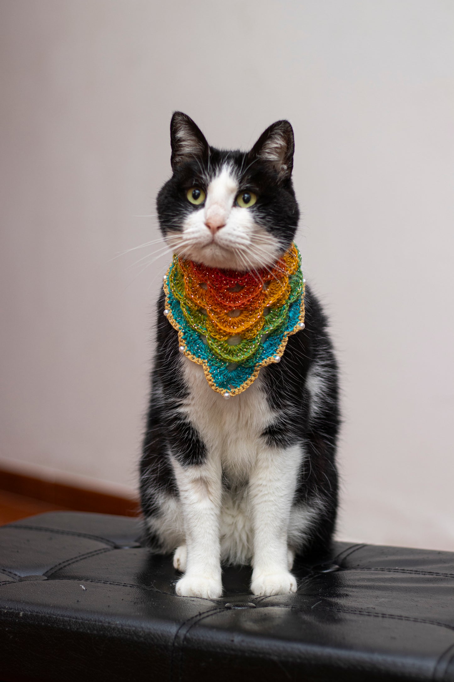 🌈Mystery Multicolored Bandana🌈