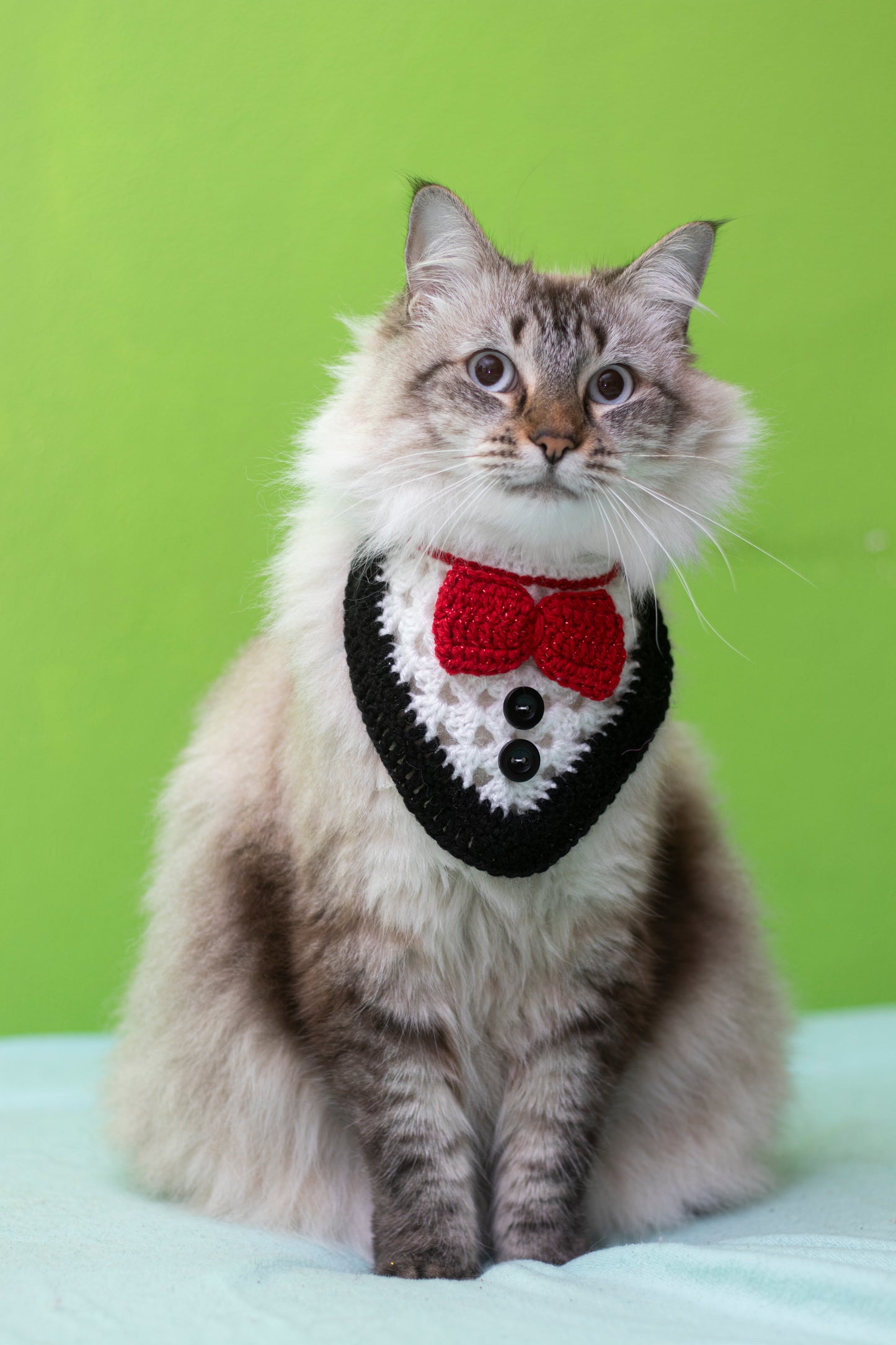🖤Frosted Tux🖤
