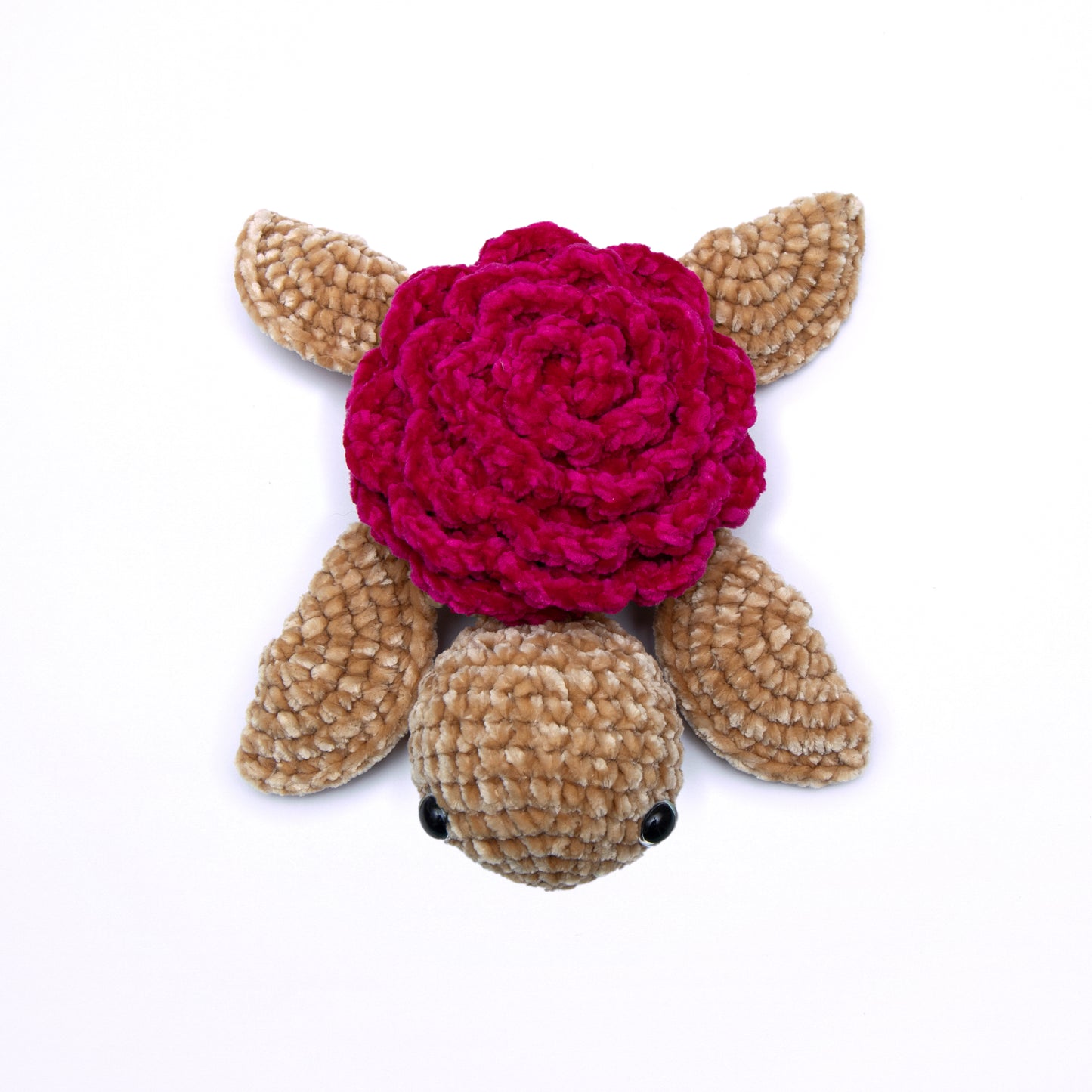 🐢Smaller Velvet Turtle🐢