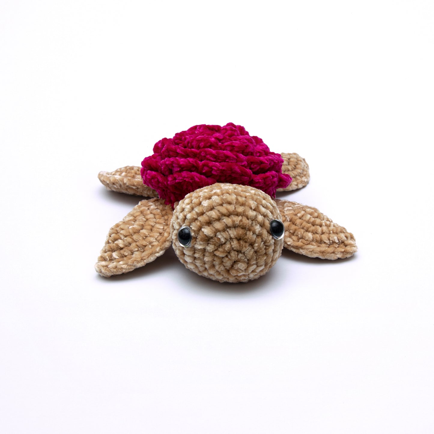🐢Smaller Velvet Turtle🐢