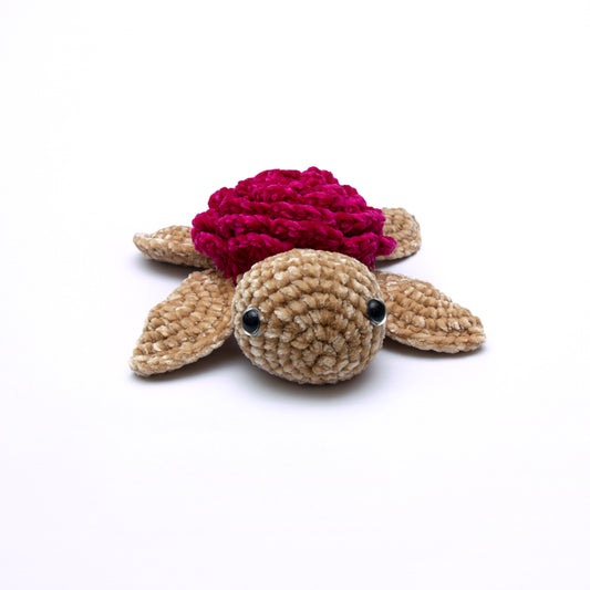 🐢Smaller Velvet Turtle🐢